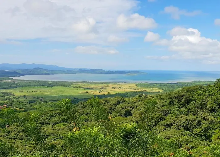 Paraiso Monkey La Cruz (La Cruz)