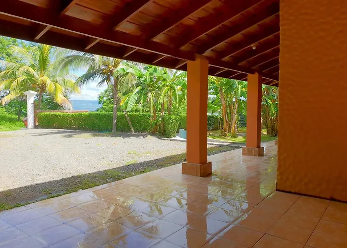 Paraiso Monkey