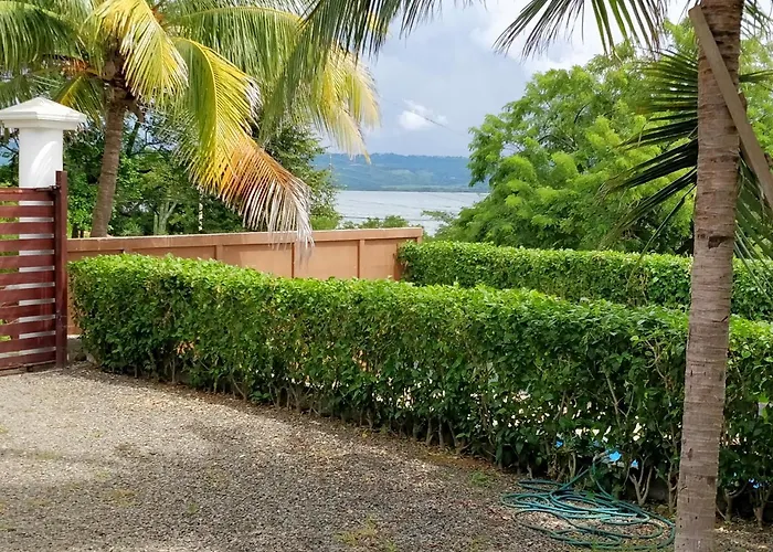 Paraiso Monkey Guest house La Cruz (La Cruz)