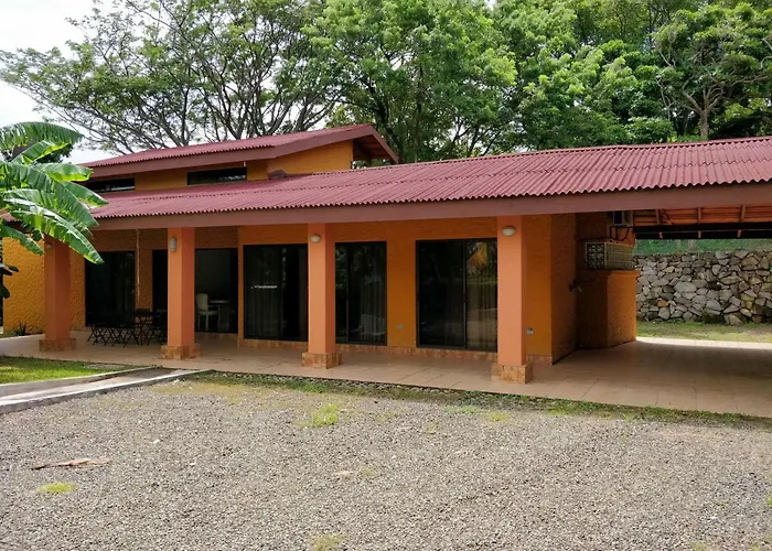 Paraiso Monkey