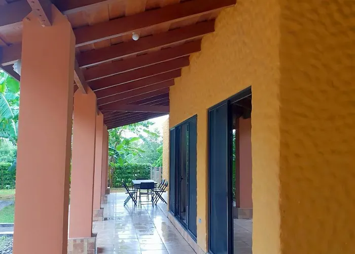 Paraiso Monkey