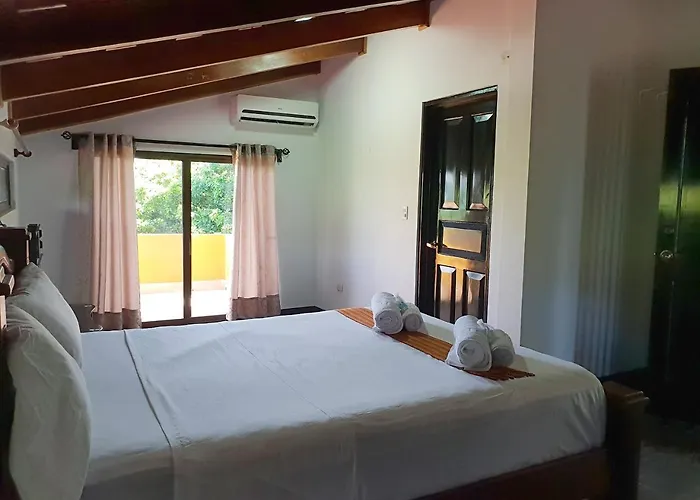 Paraiso Monkey Guest house