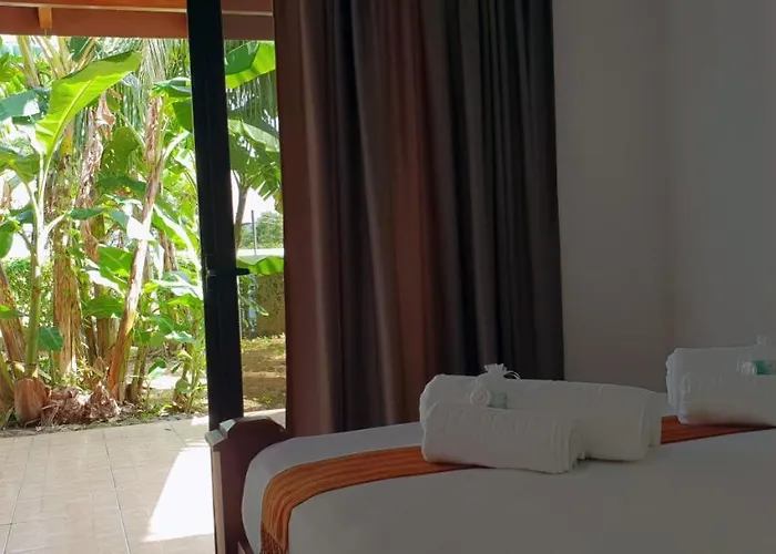 Paraiso Monkey